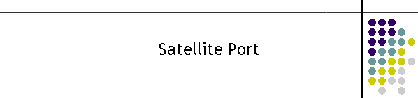 Satellite Port