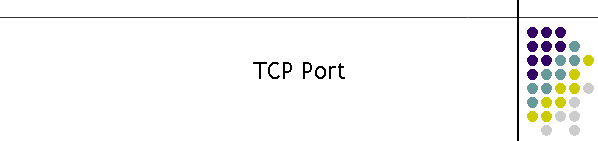 TCP Port